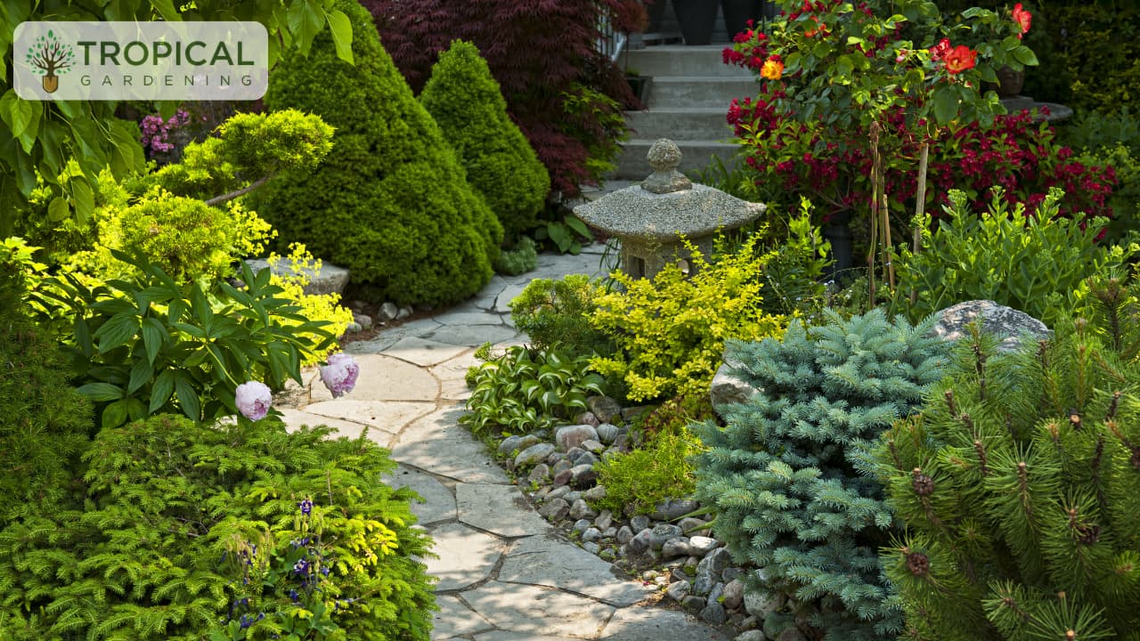Best landscaping company in Hyderabad,