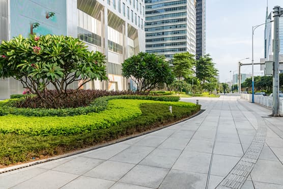 CGI — landscaping by Tropical Gardening, view 1